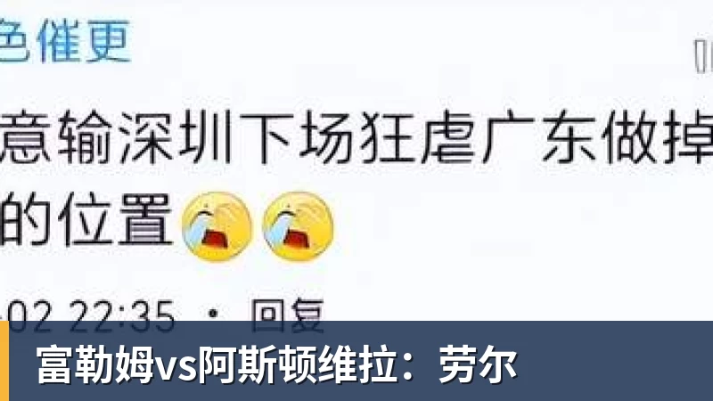 富勒姆vs阿斯顿维拉：劳尔