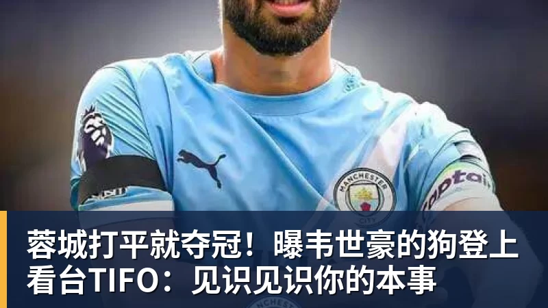 蓉城打平就夺冠!曝韦世豪的狗登上看台TIFO:见识见识你的本事